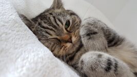 Thumbnail of post image 008