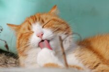 Thumbnail of post image 005