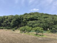 Thumbnail of post image 154